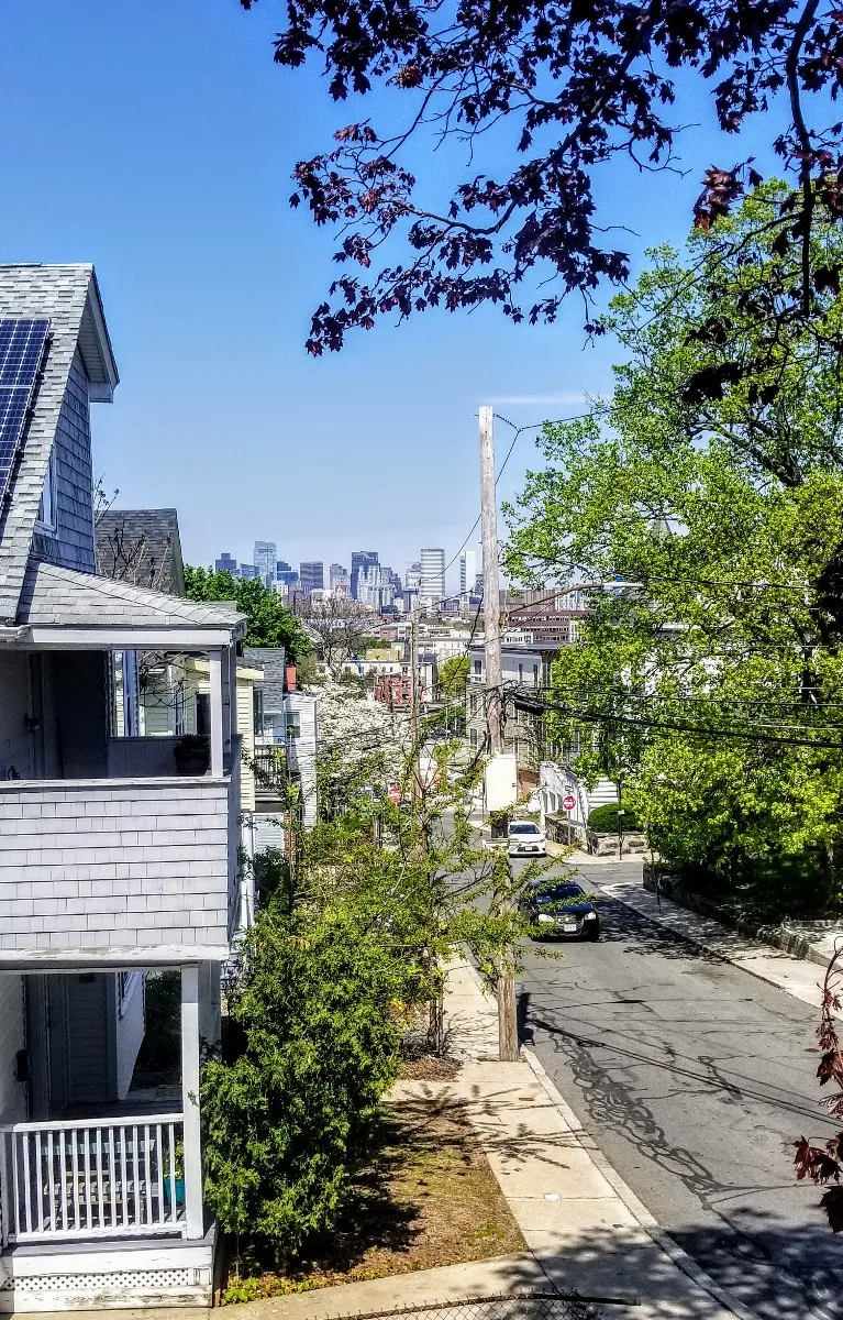 31-33 Thornton St, Roxbury