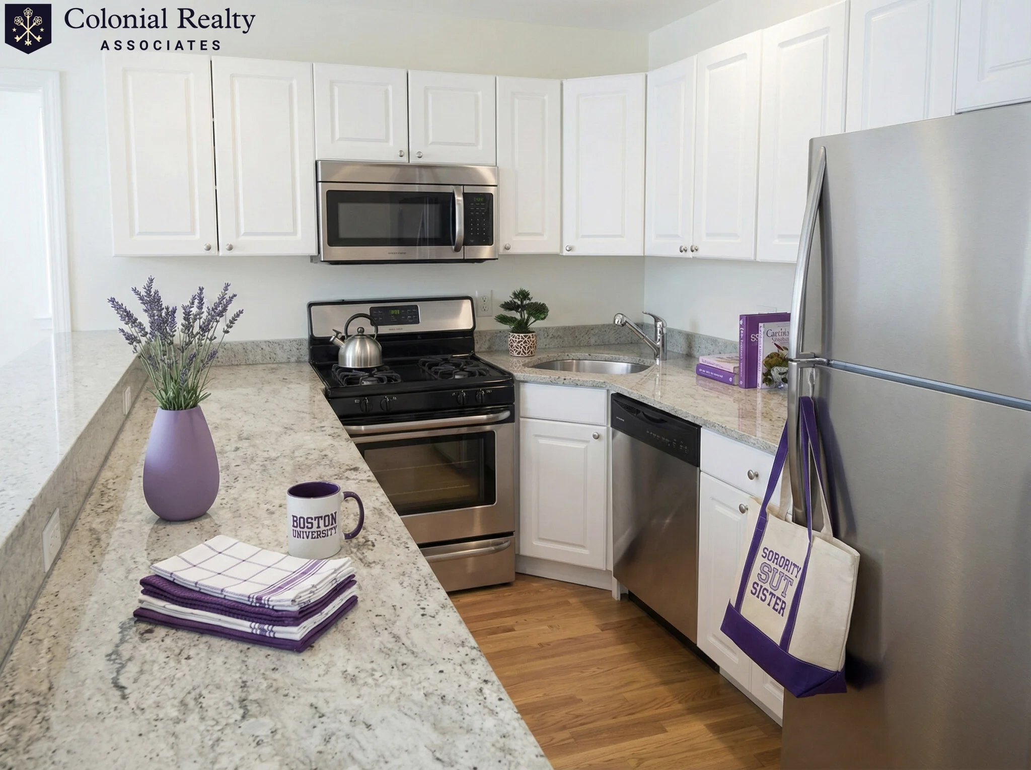 62 Egmont St, North Brookline