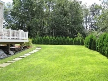15 Orchid, Littleton