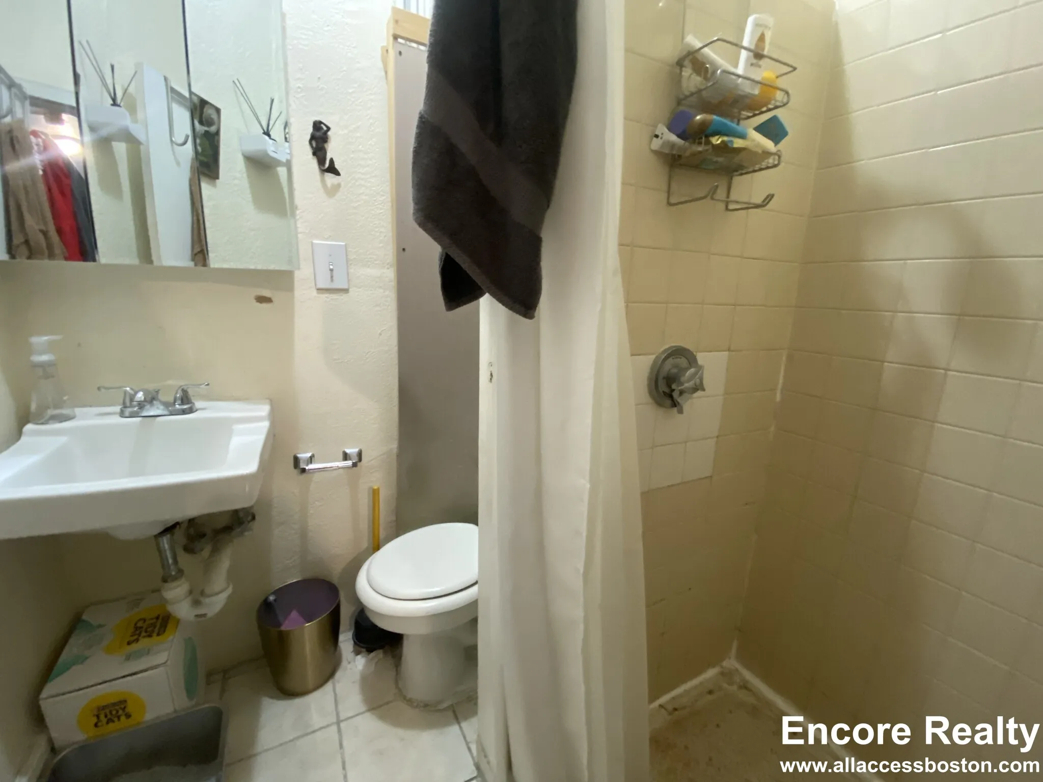 40 Anderson St, Beacon Hill