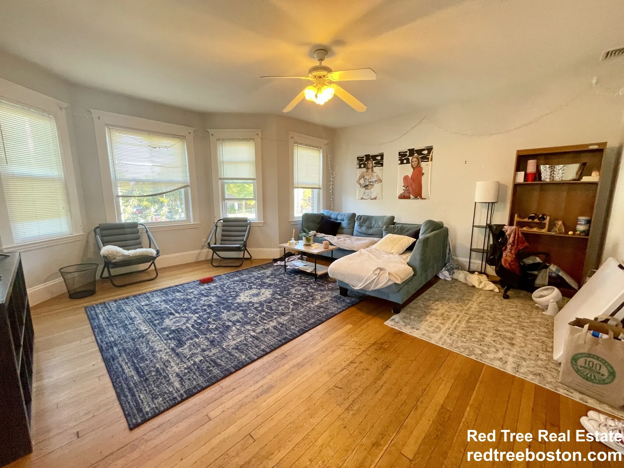 209 Chestnut Hill Ave, Brighton