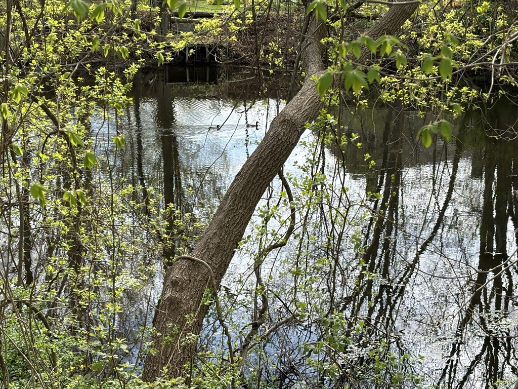 119 Knight Ave, Attleboro