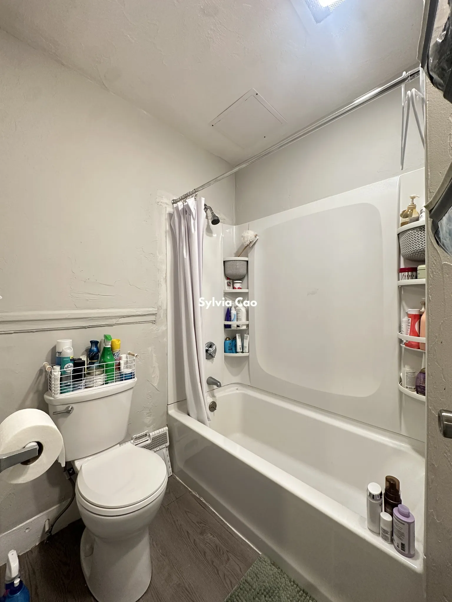 165 Kelton St, Brighton