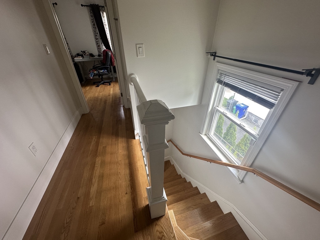 62 Antwerp, Brighton