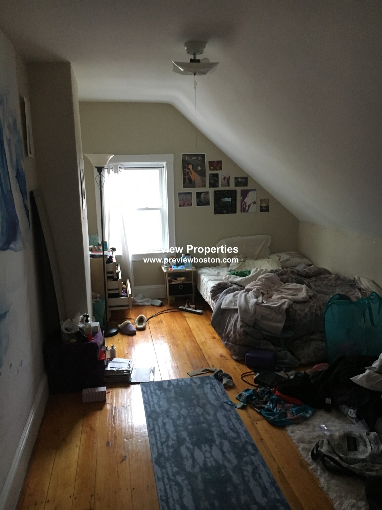 17 Putnam, Harvard Square