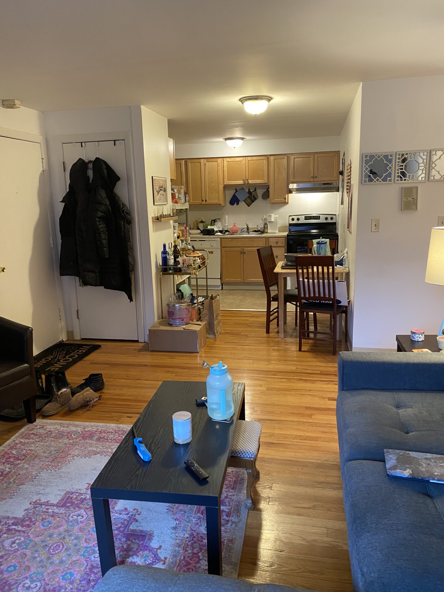 245 Kelton St, Brighton