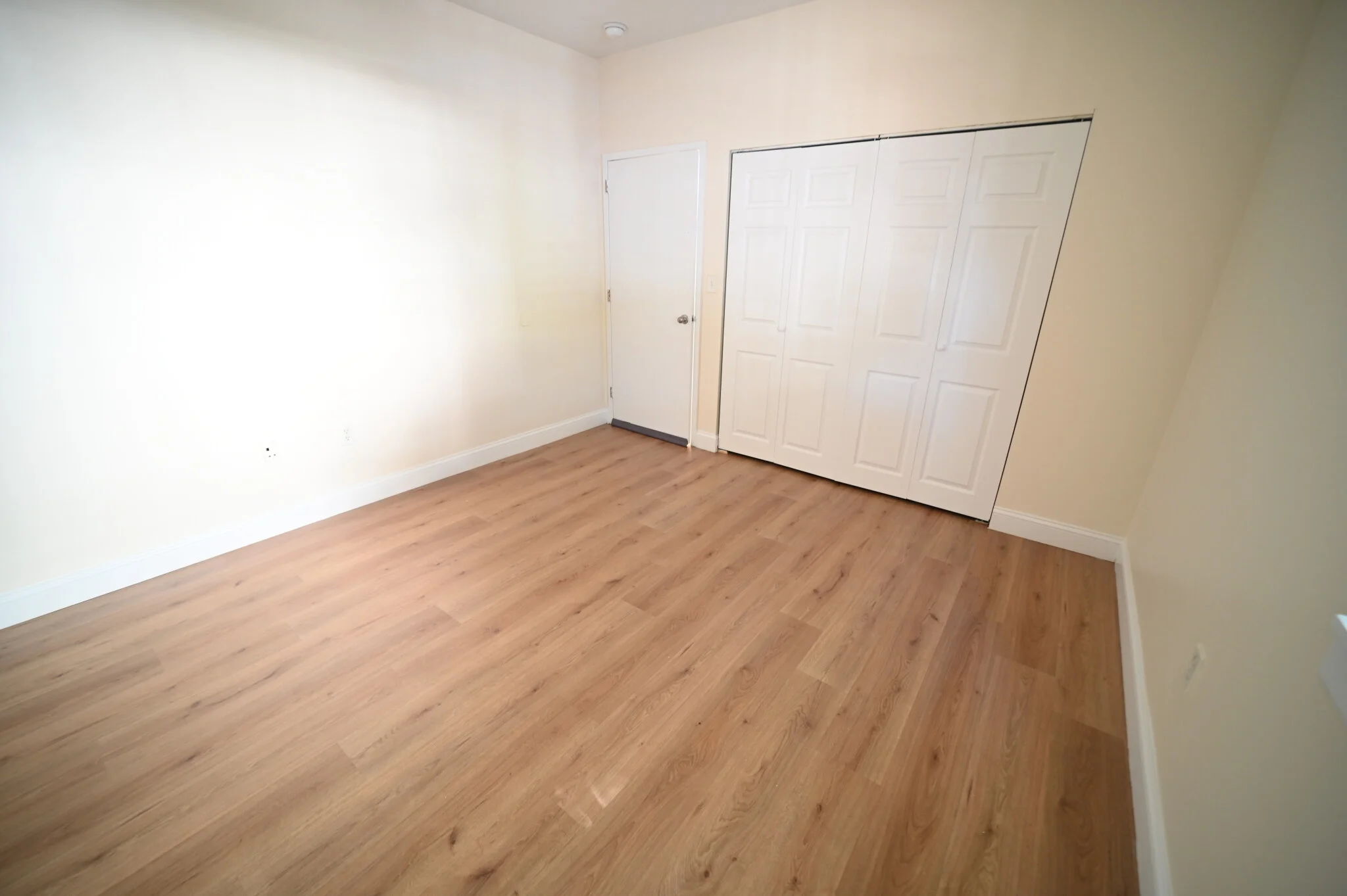 801 Tremont St, Roxbury