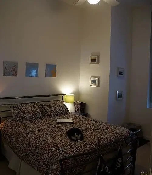 48 Forest St, Medford