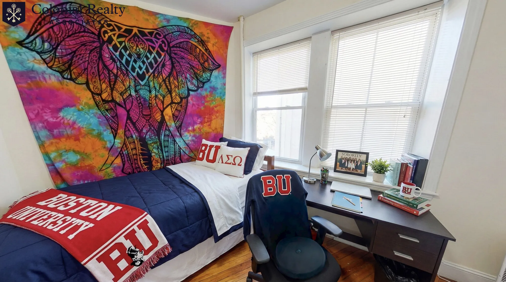 56 Egmont St, North Brookline