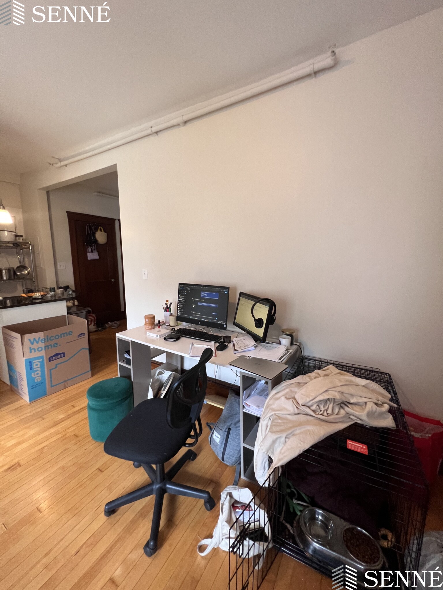 5 Linnaean St, Neighborhood Nine