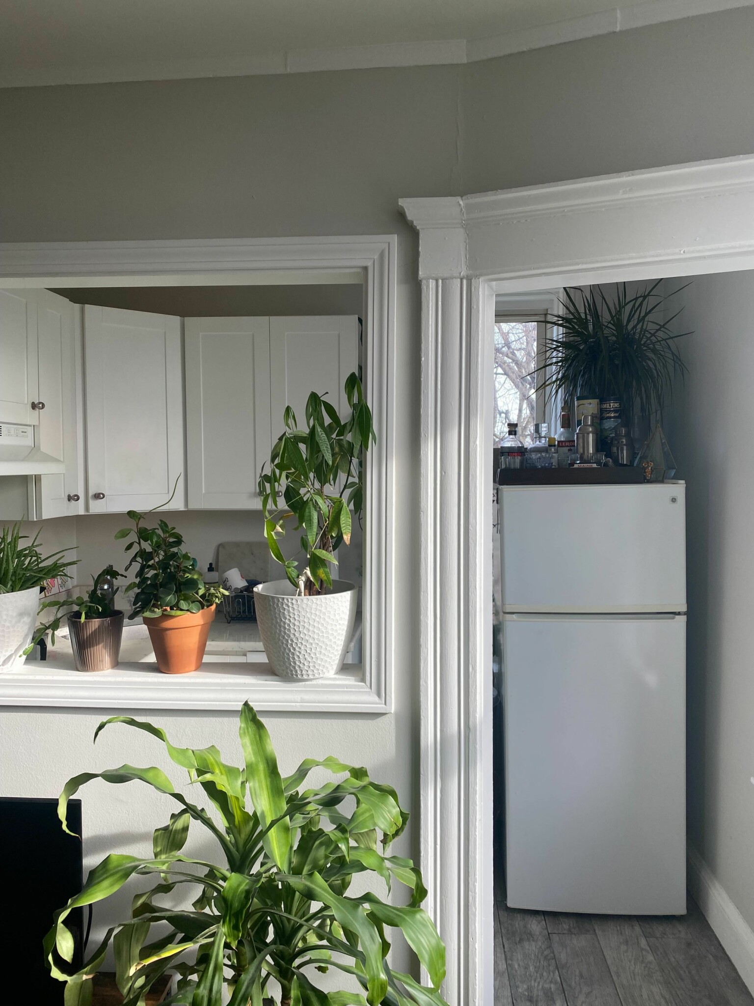 12 Farrington Ave, Allston