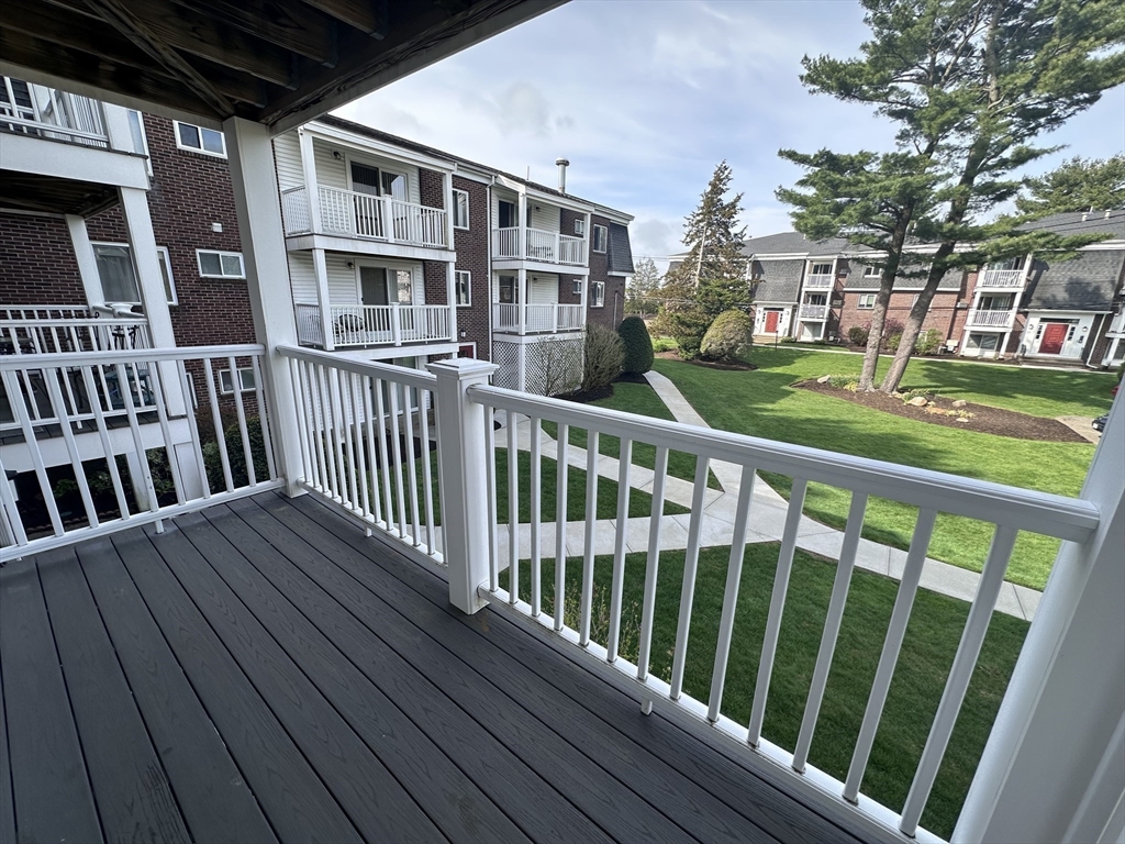 41 Will, Canton Junction