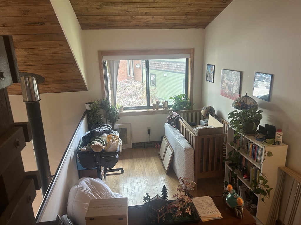 11 Lilac, Wellington-Harrington