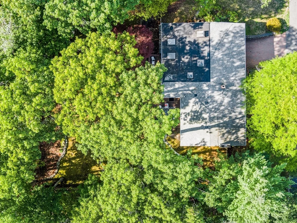 6 Nelson Dr, Chestnut Hill