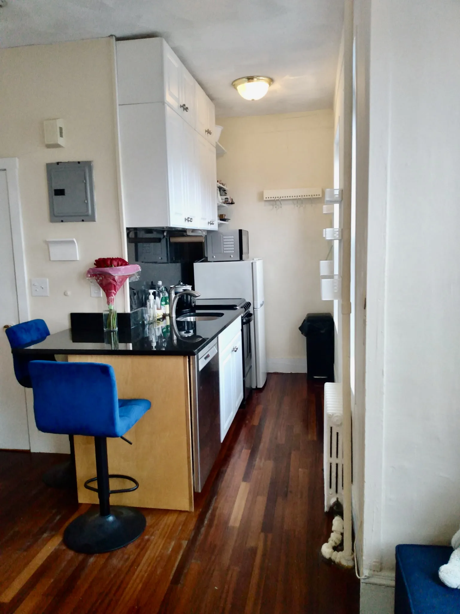 108 Myrtle St, Beacon Hill