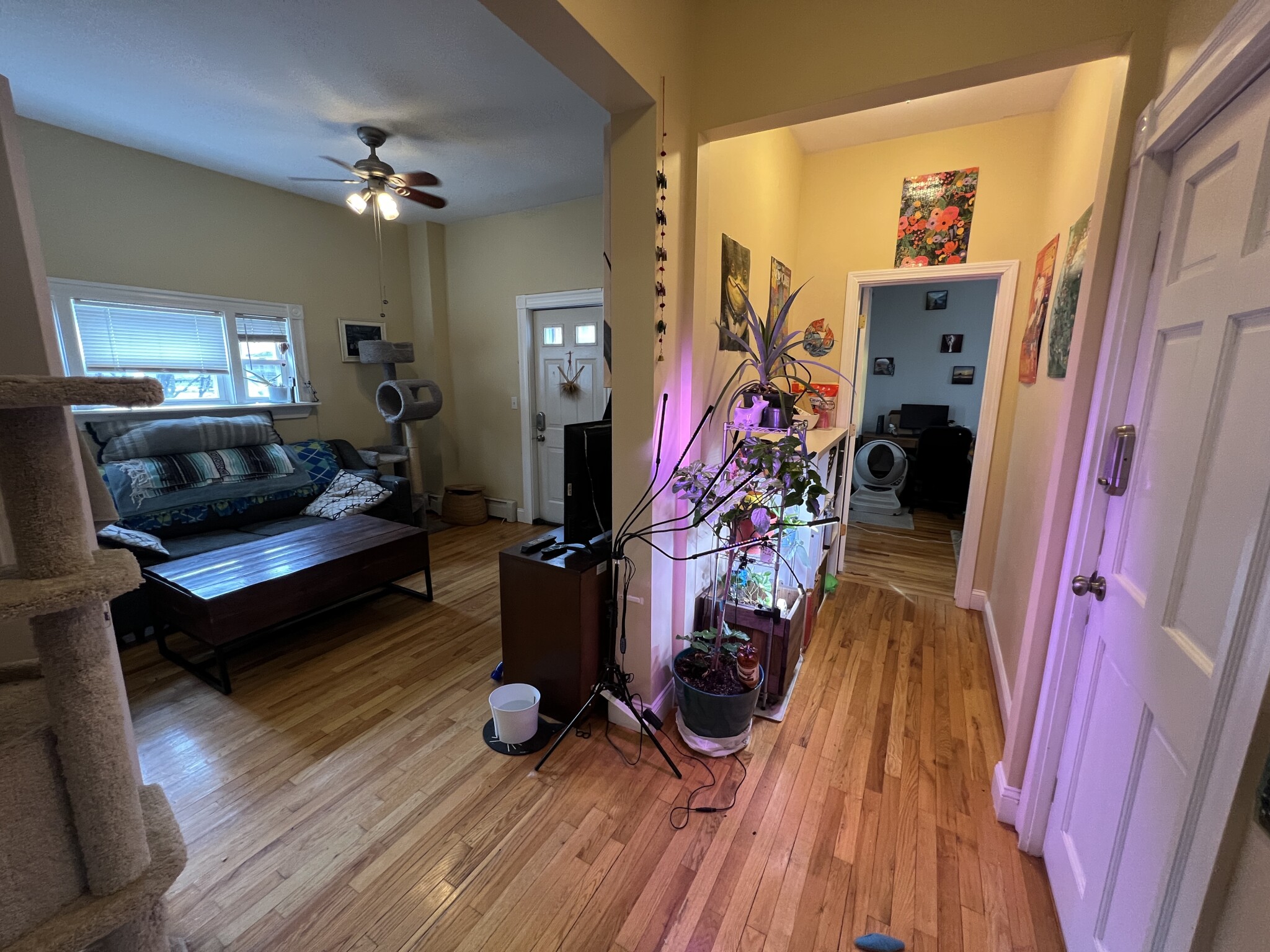 29 Victoria St, West Somerville