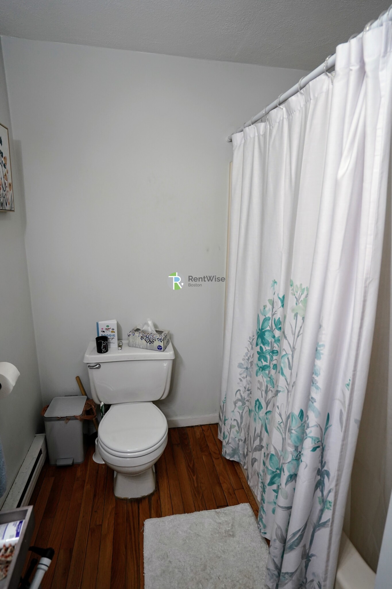 3 Schrepel Pl, South Boston