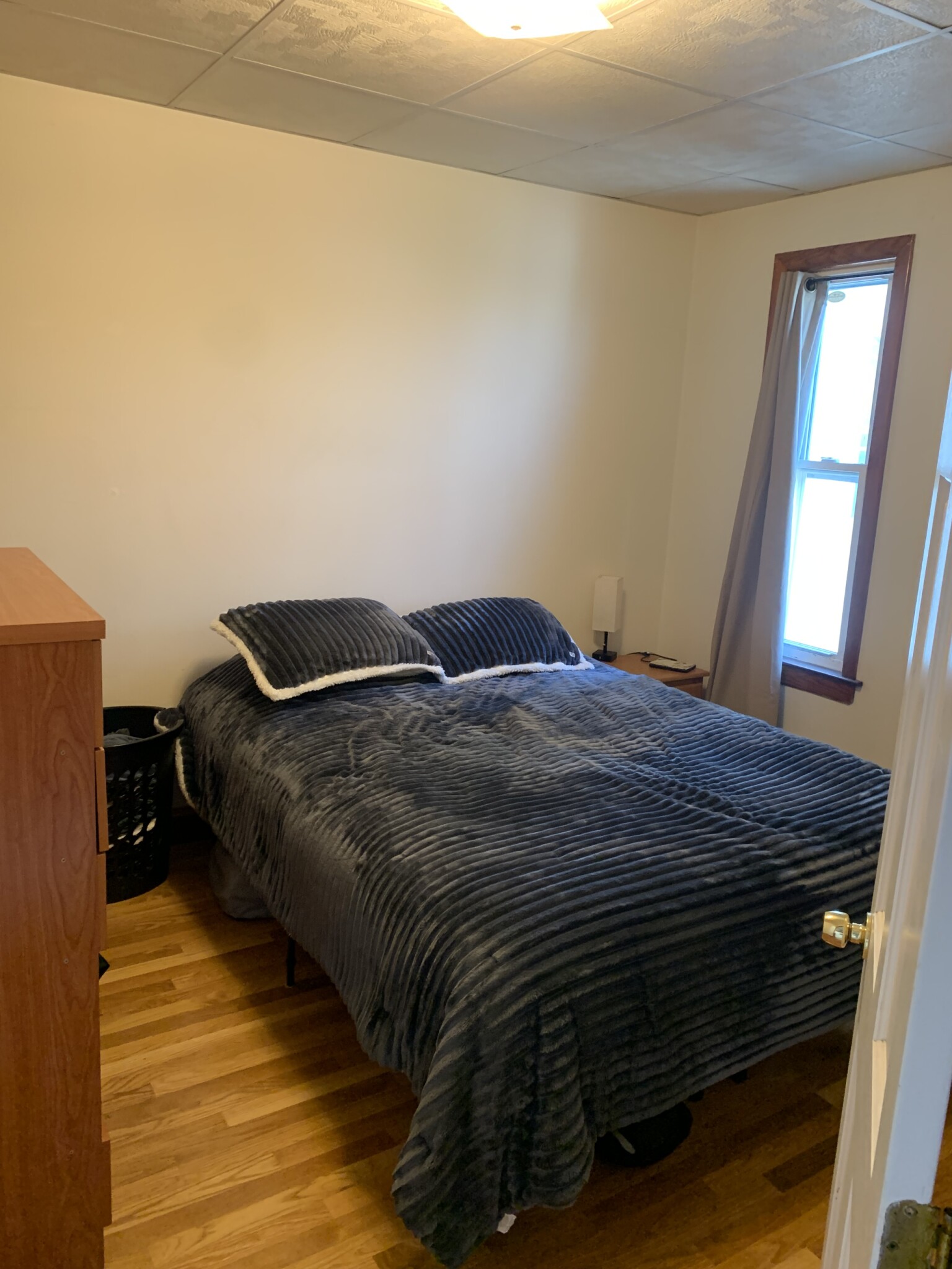 54 Webster Ave, Wellington-Harrington