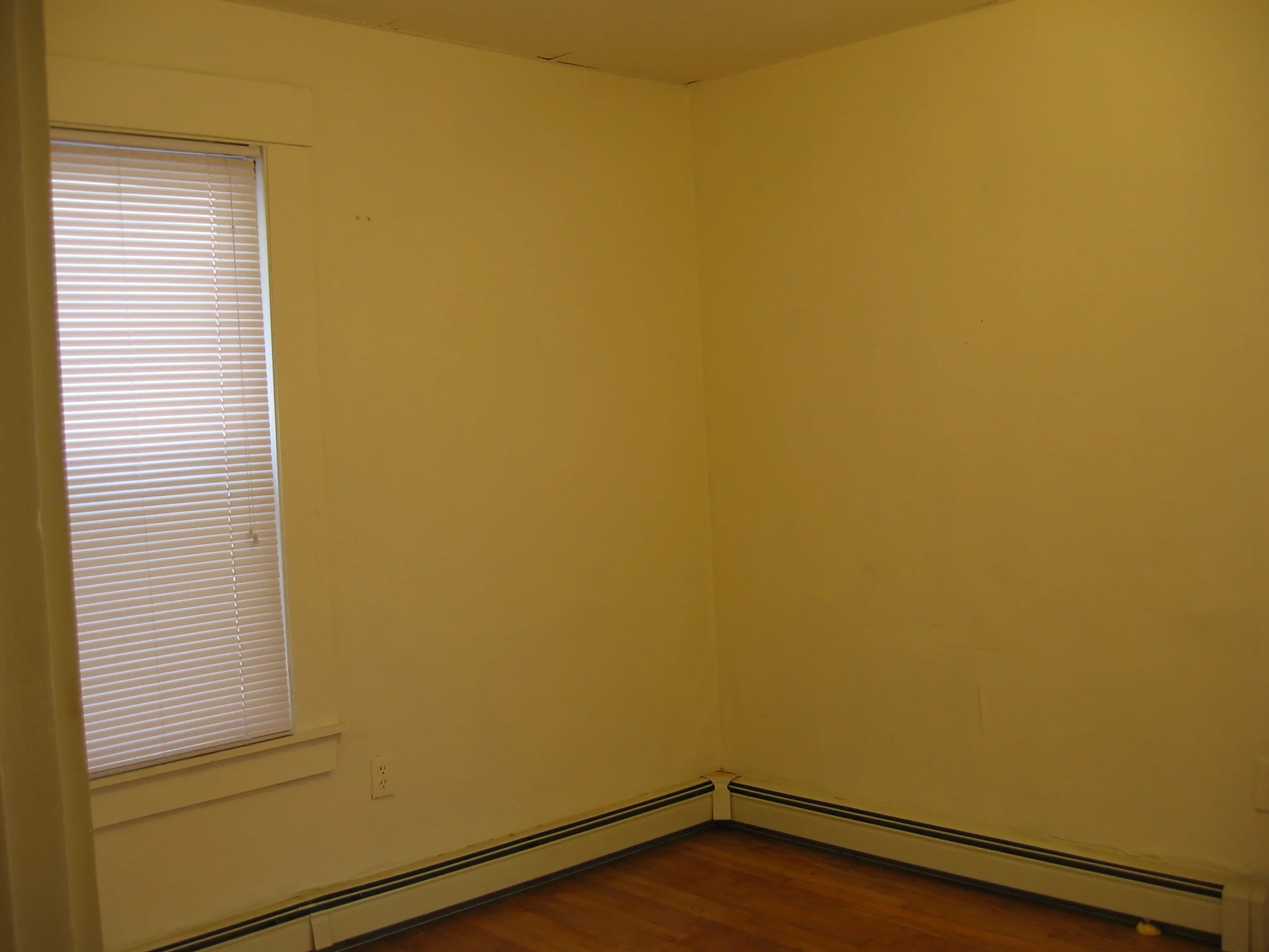 359 Windsor St, Wellington-Harrington