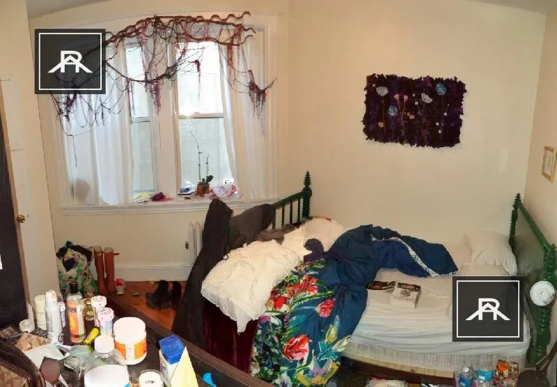 56 Egmont St, North Brookline