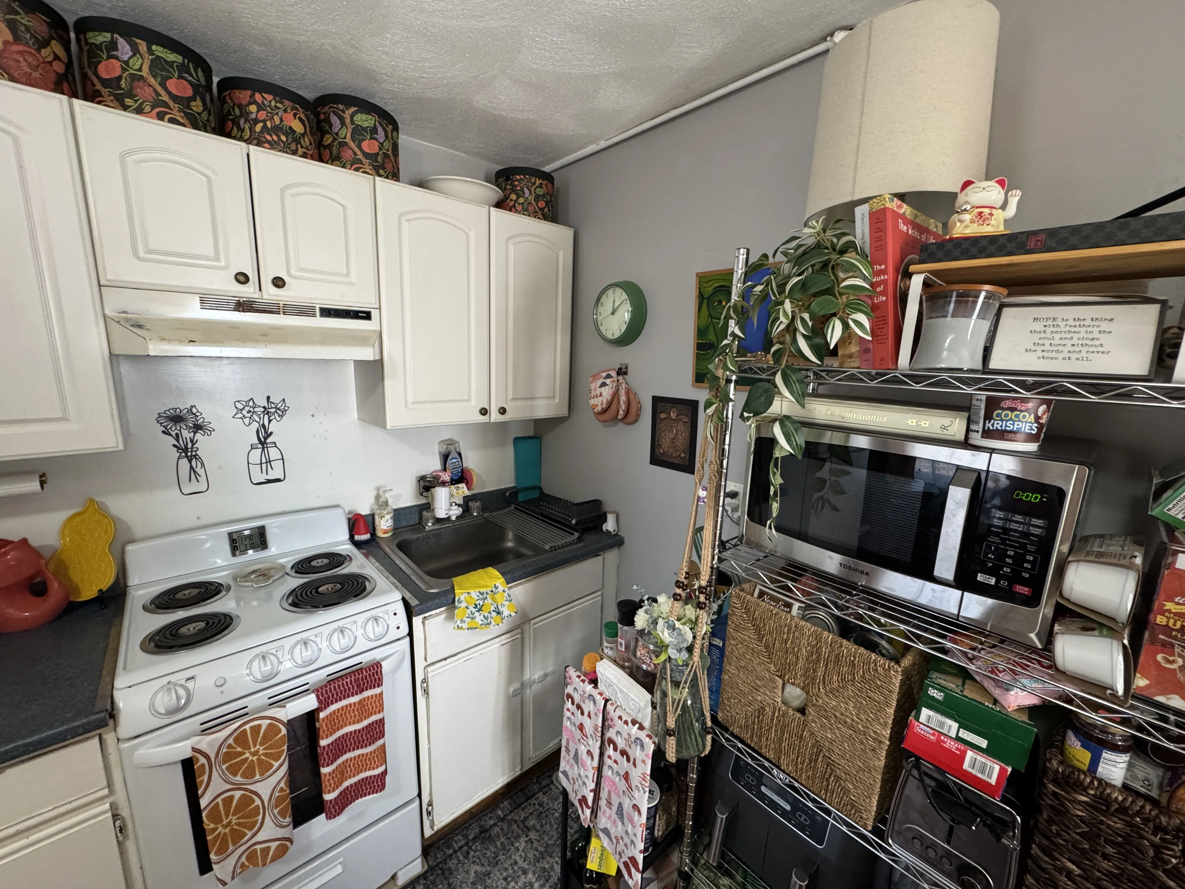 639 Somerville Ave, Spring Hill