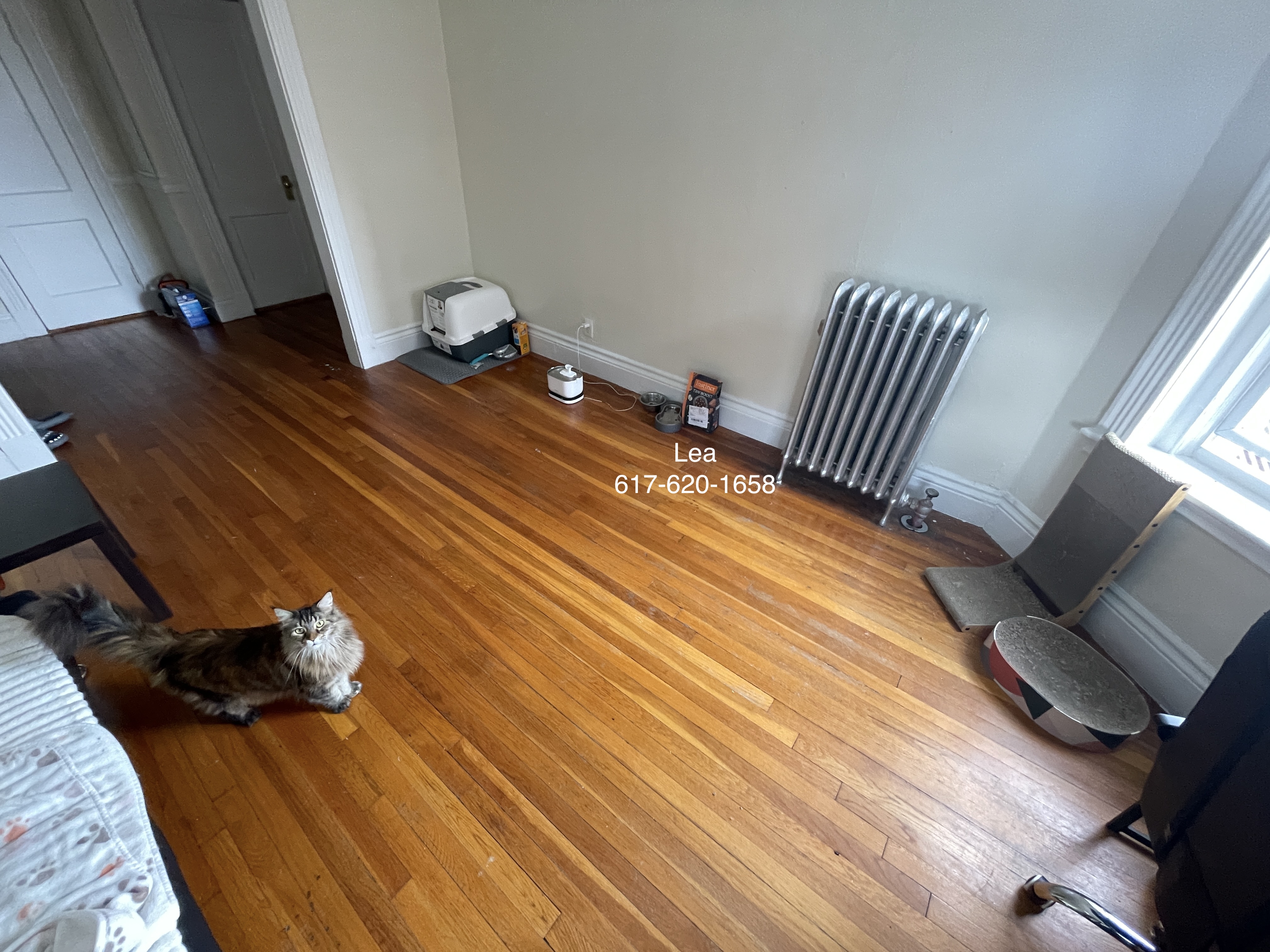 5 Walbridge St, Brighton