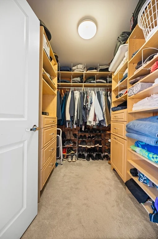 519 Harrison Ave, South End