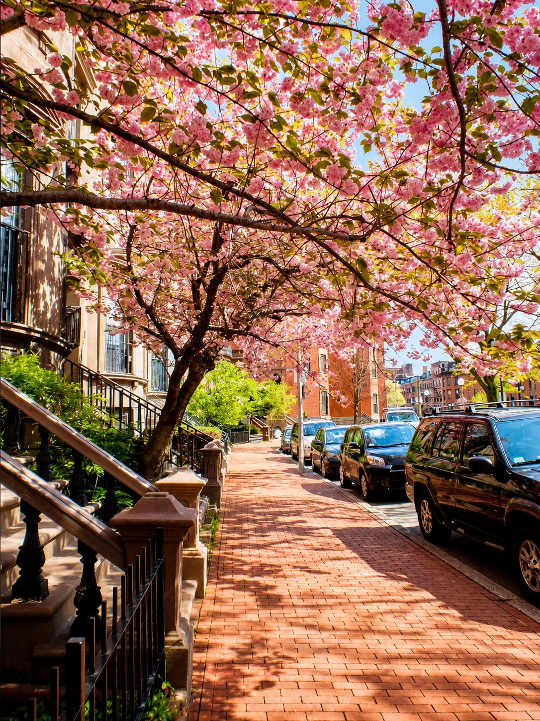 538 Massachusetts Ave, South End