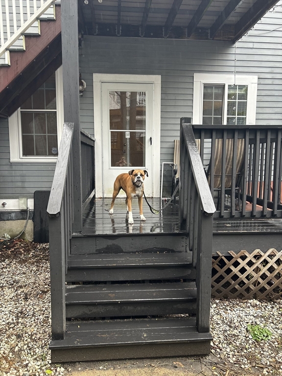 144 West 8th, South Boston