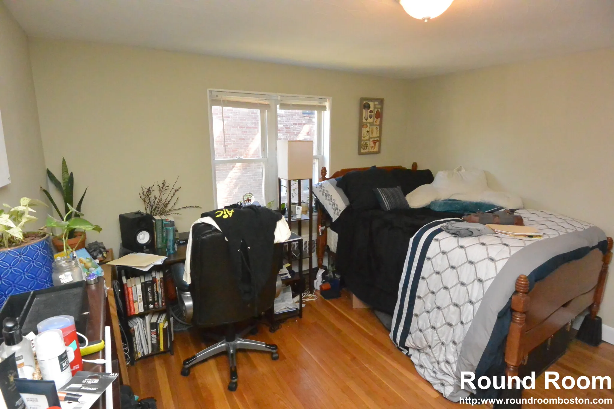 271 Corey Rd, Brighton