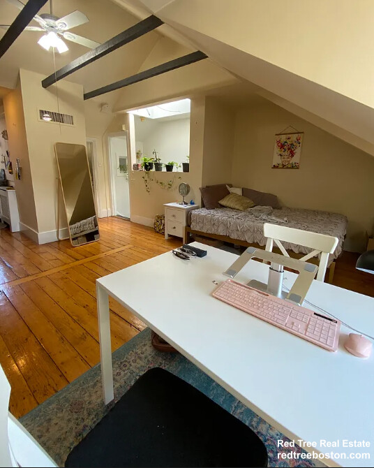 32 Irving St, Beacon Hill