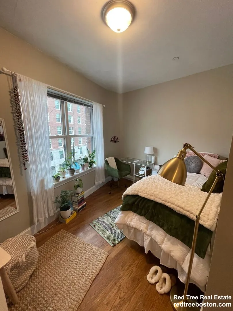 497 Commonwealth Ave, Fenway