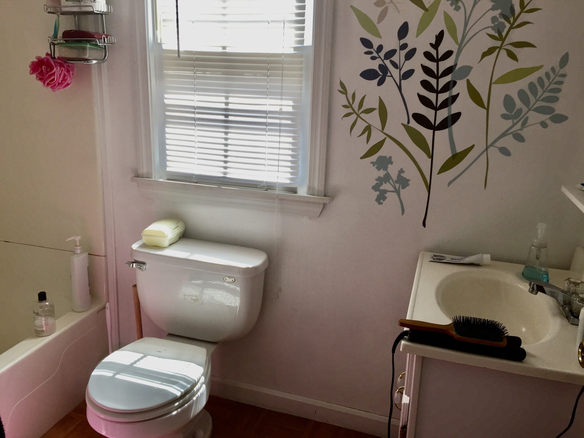 72 Dane St, Inman Square