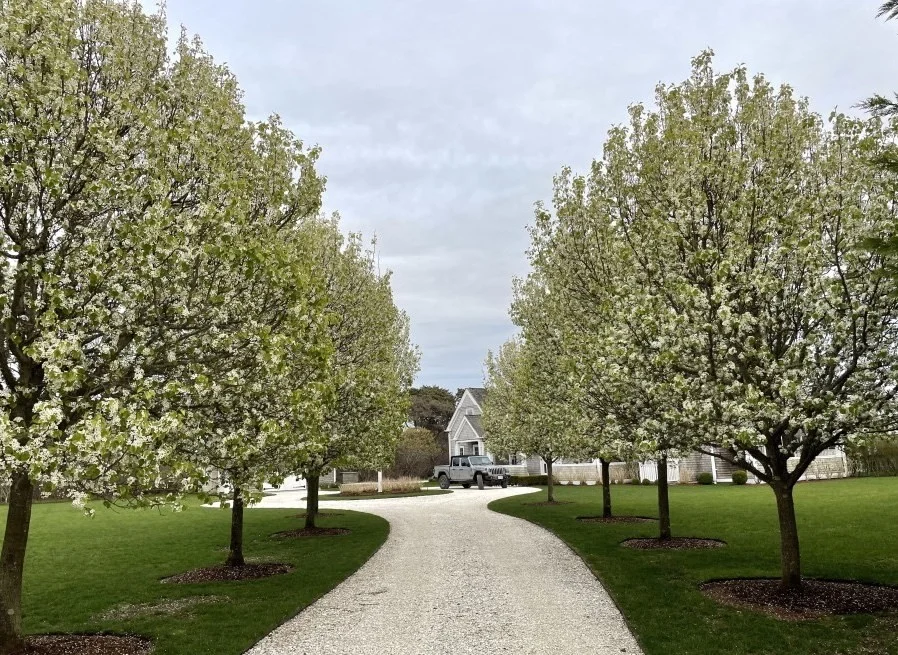 21 Woodbine St, Nantucket