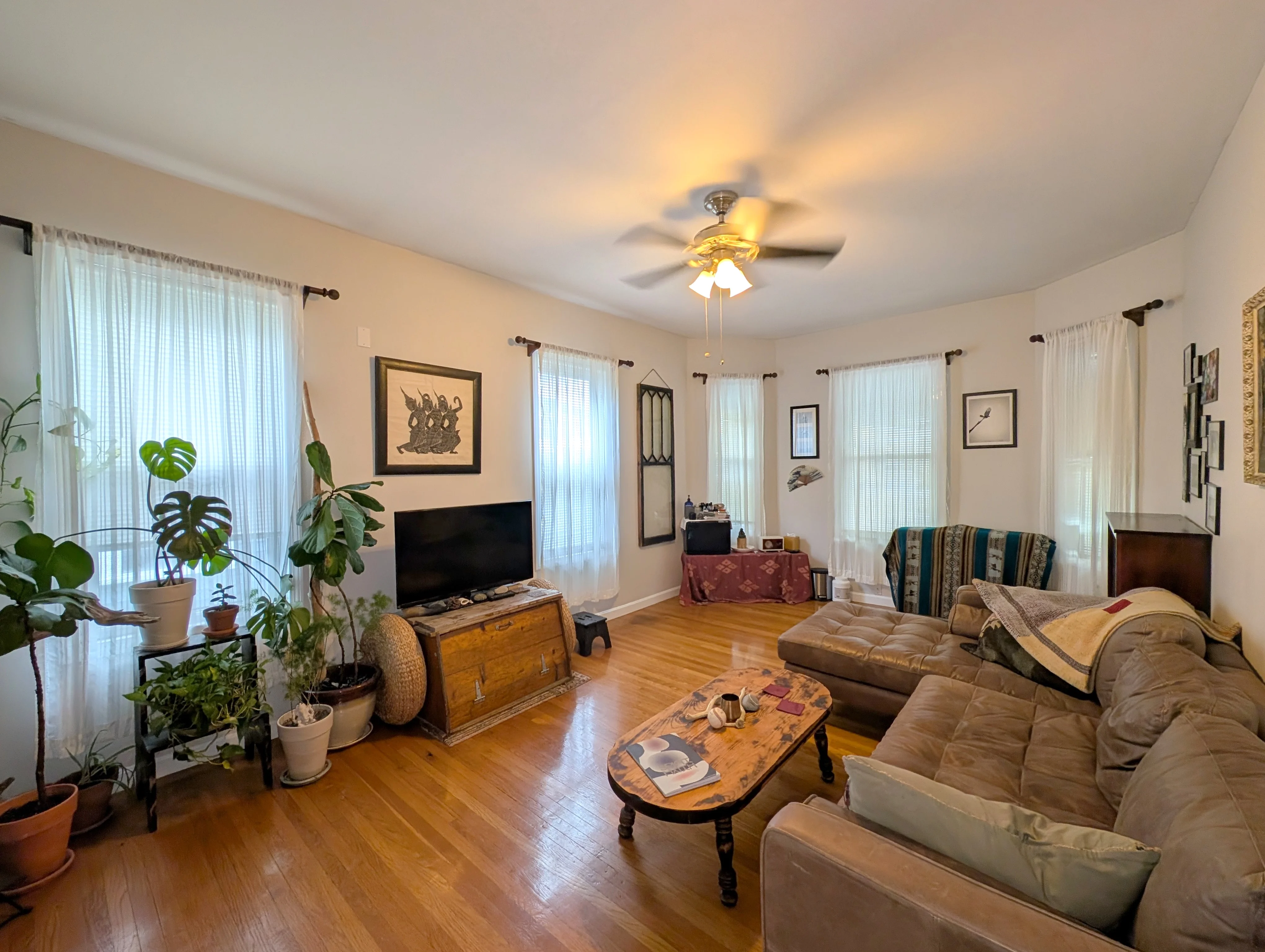 50 William St, South Medford