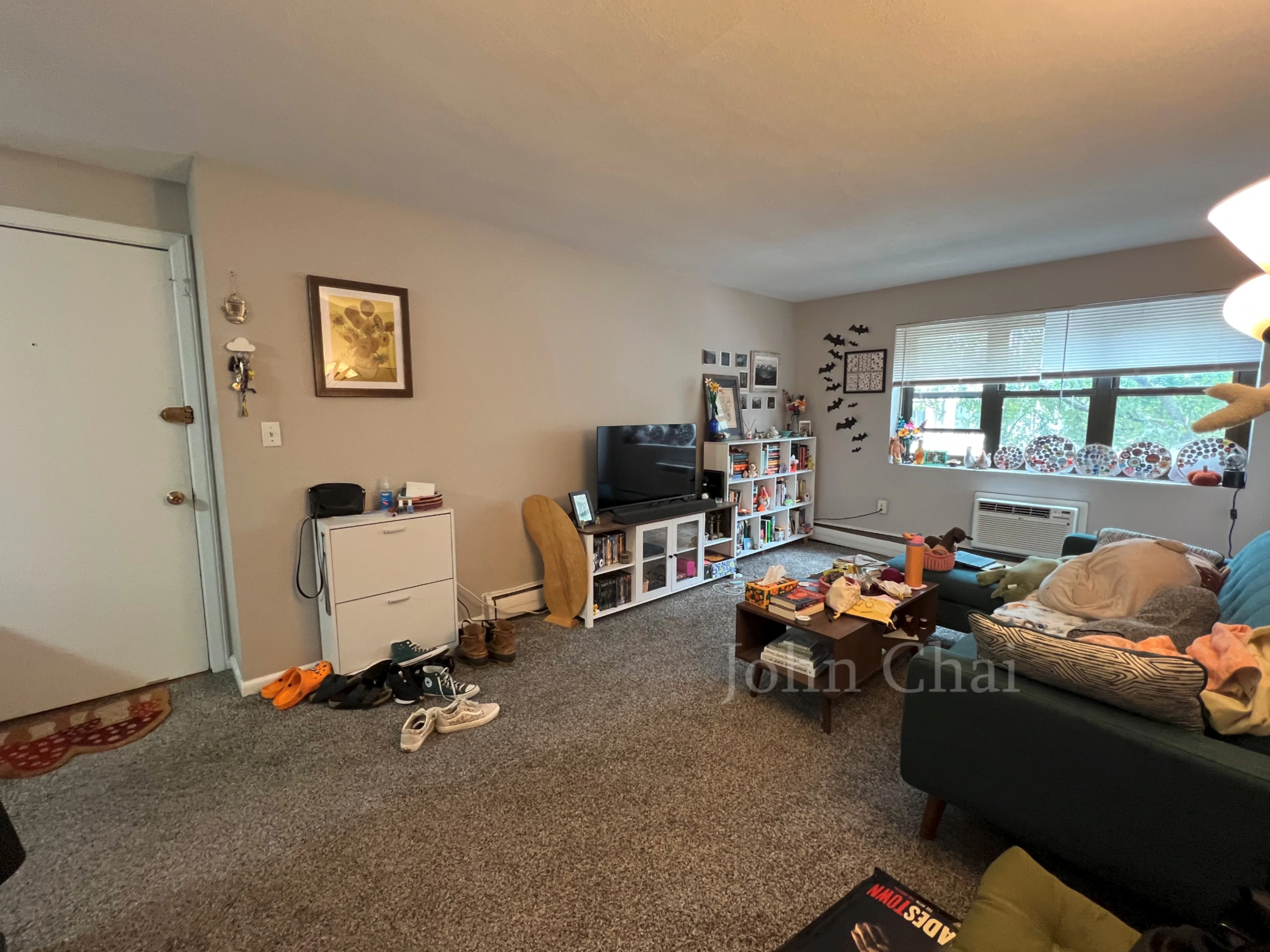 39 Shepard St, Brighton