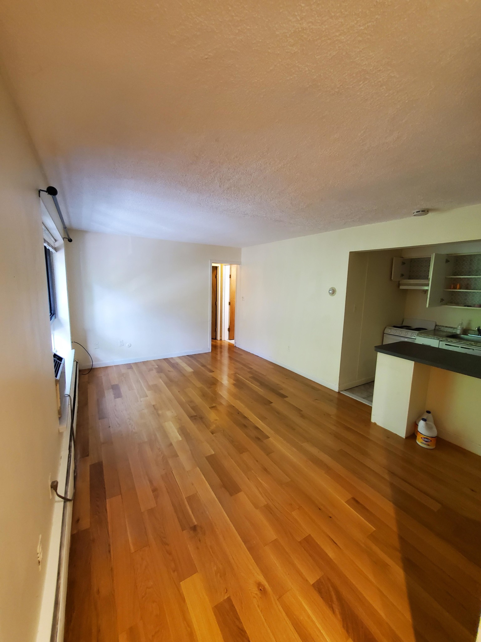 77 Trowbridge St, Mid-Cambridge