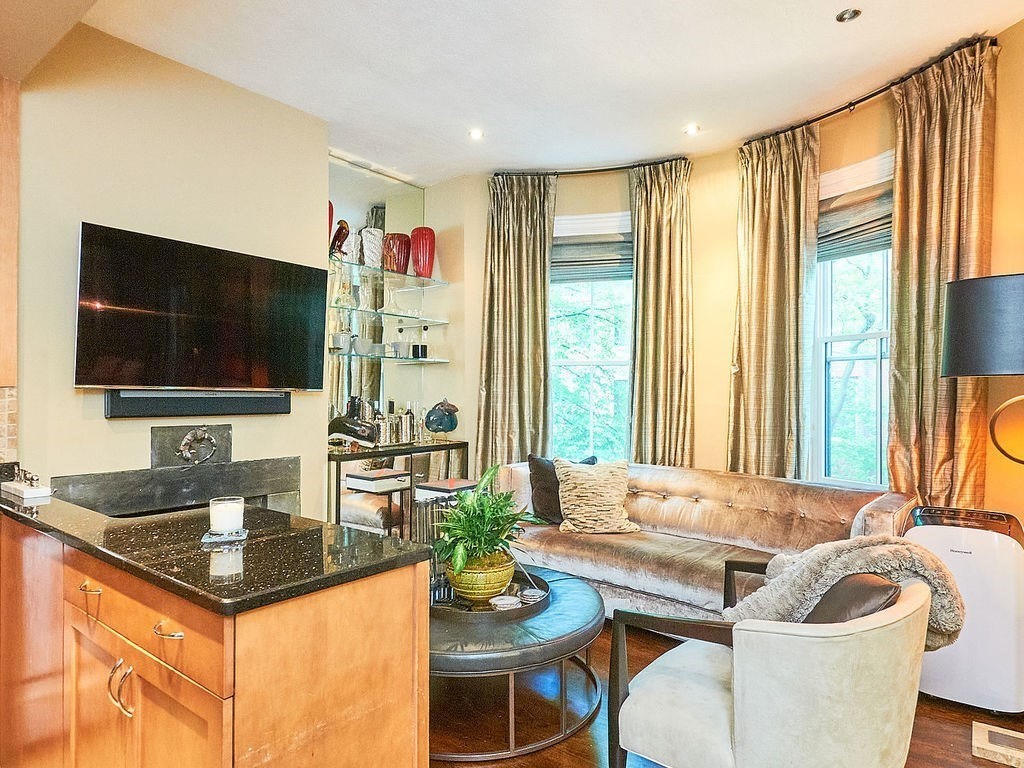 51 E Springfield, South End