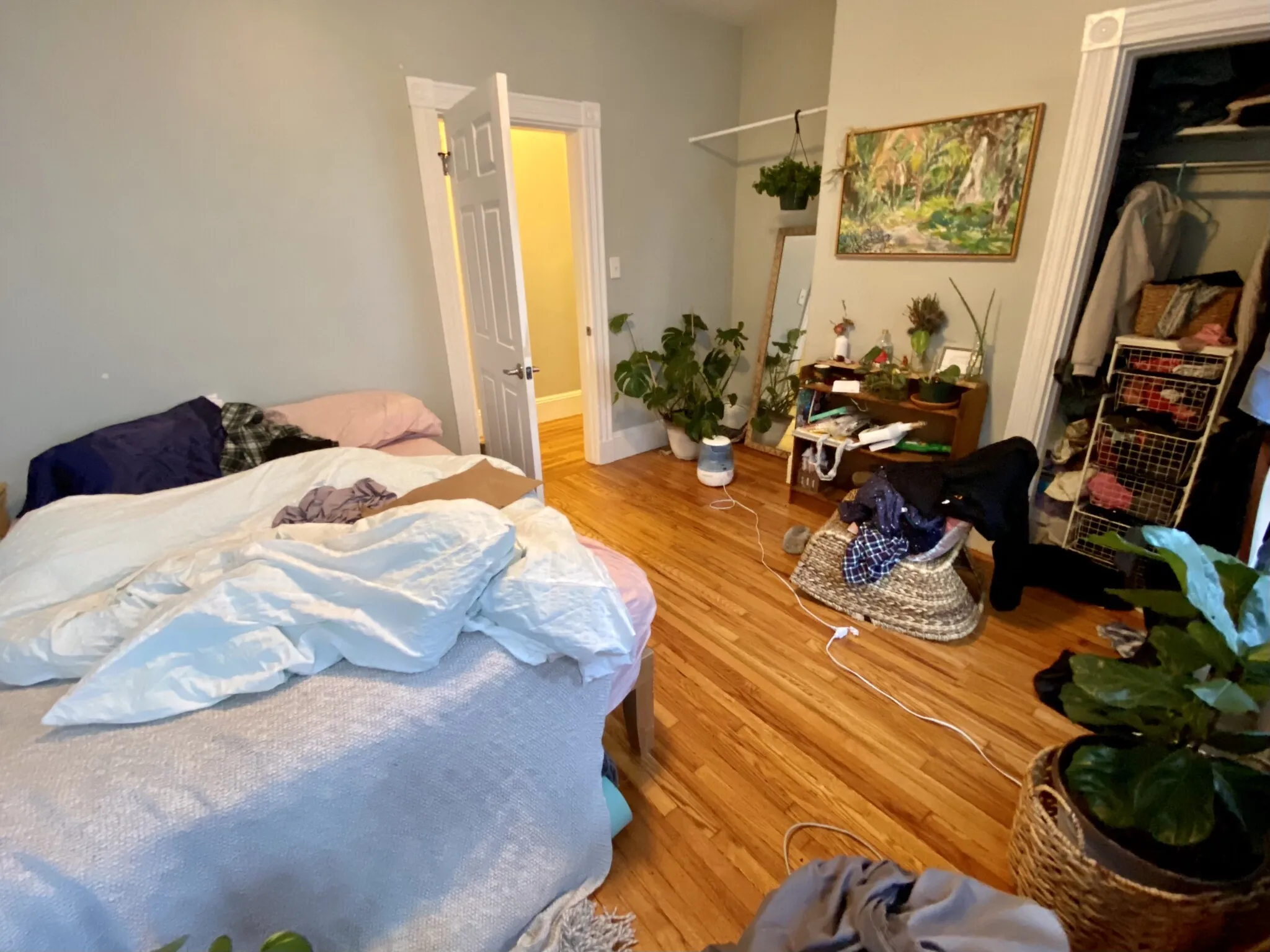 3 Oswald St, Mission Hill