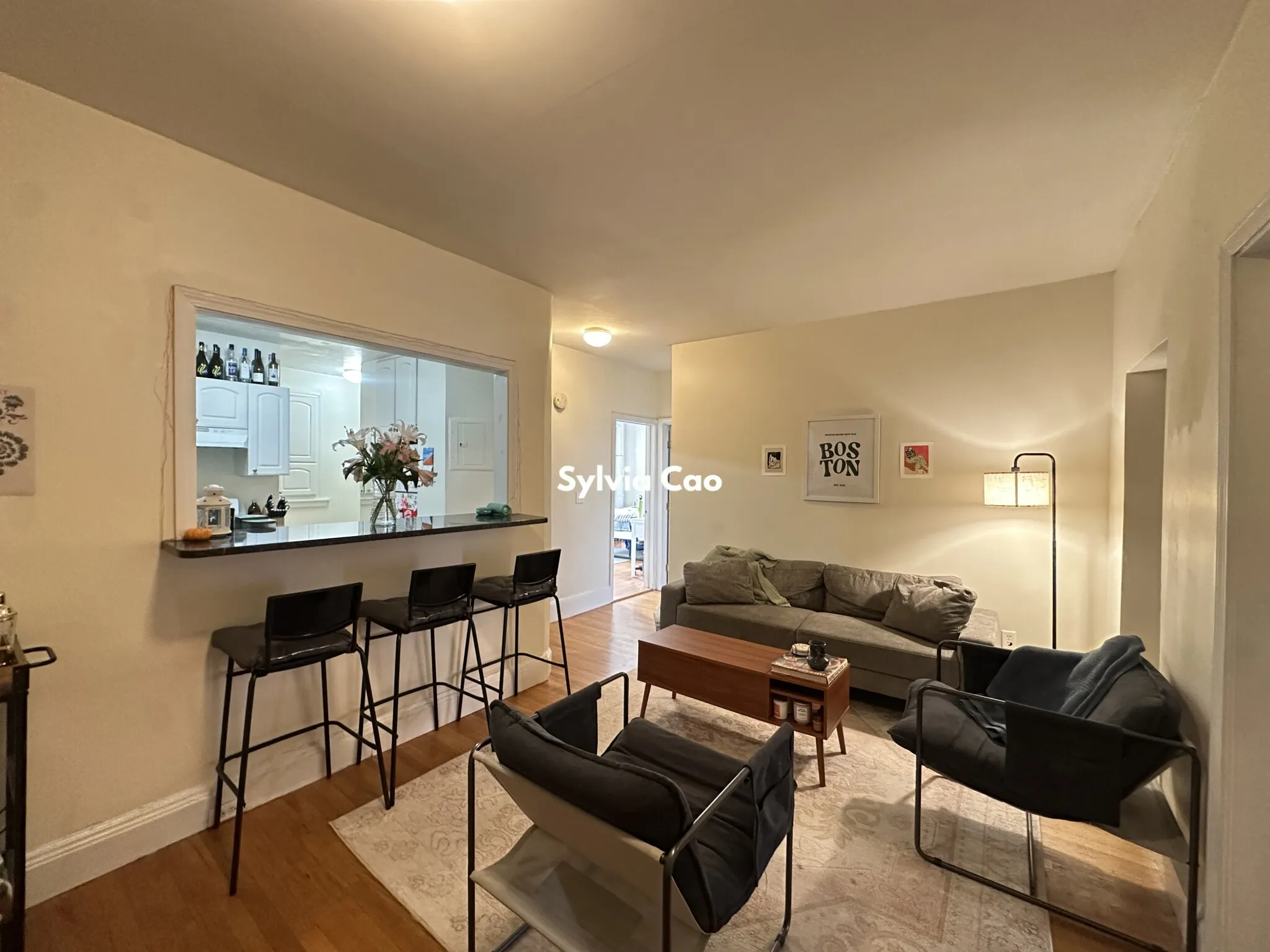 54 Egmont St, North Brookline