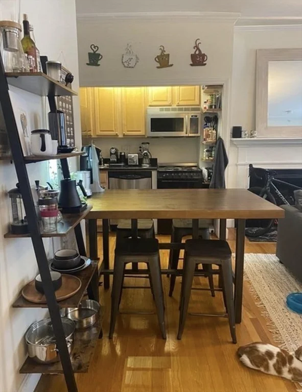 61 Hancock St, Beacon Hill