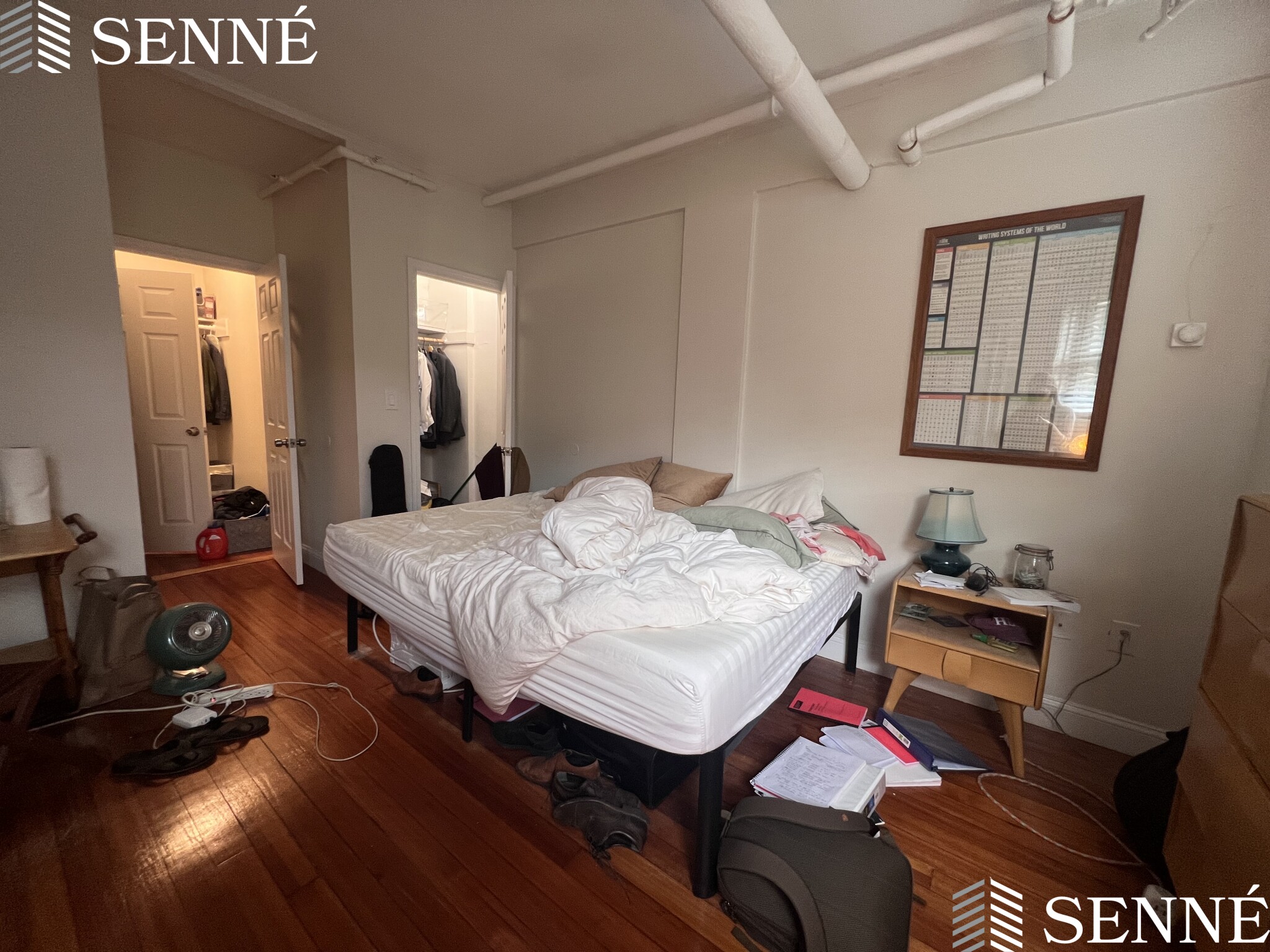 3 Linnaean St, Neighborhood Nine