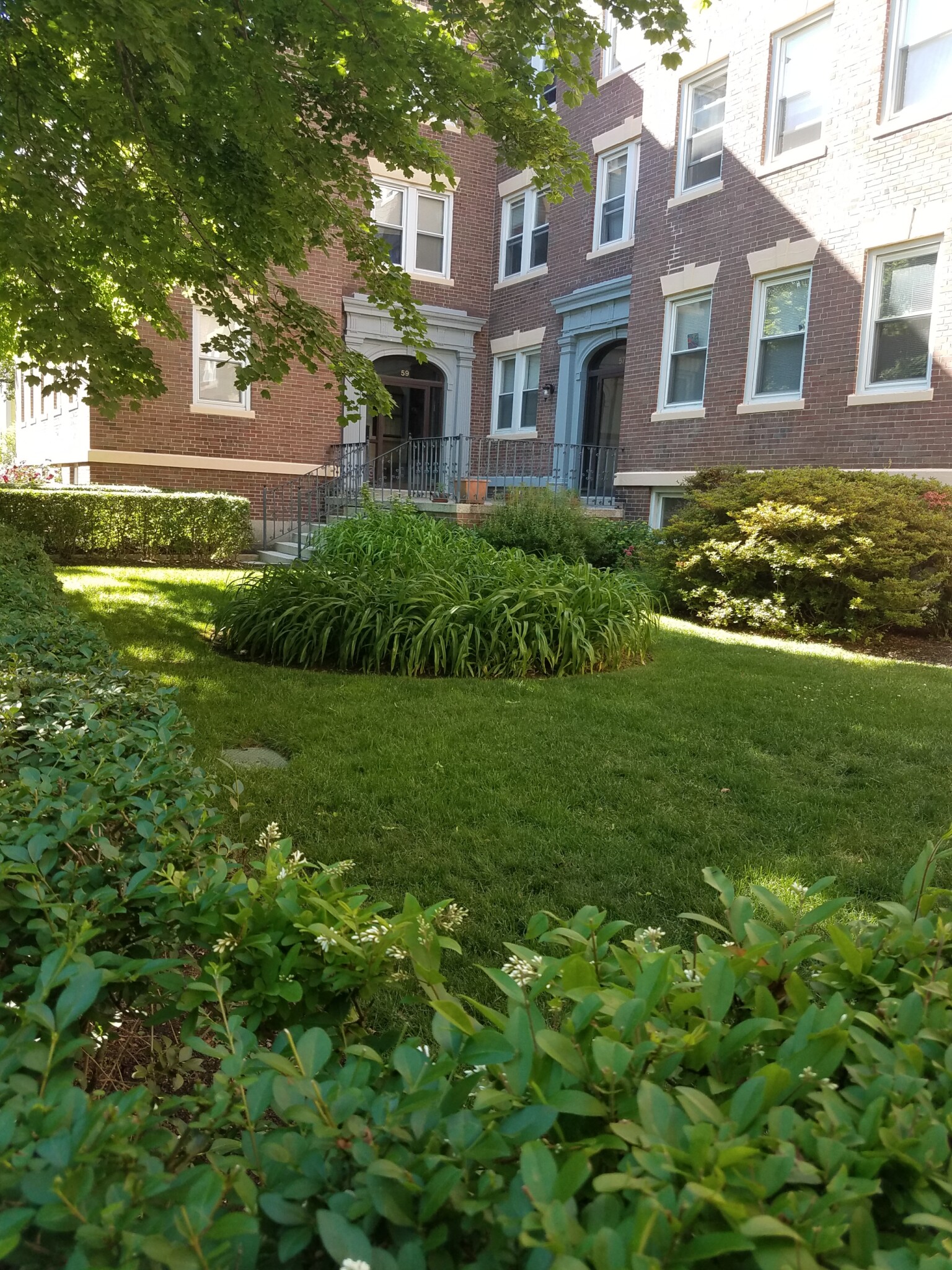 53 Manchester Rd, North Brookline