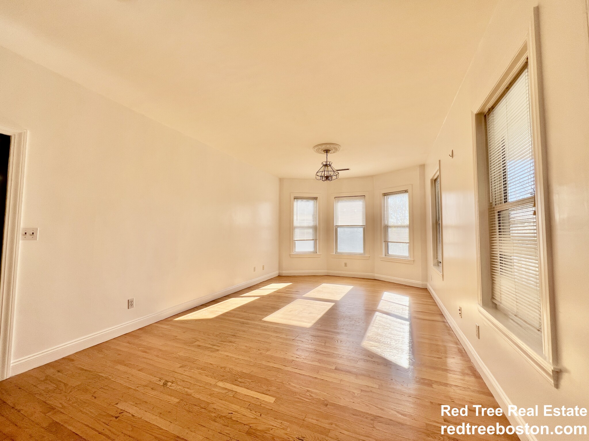 44 Champney St, Brighton