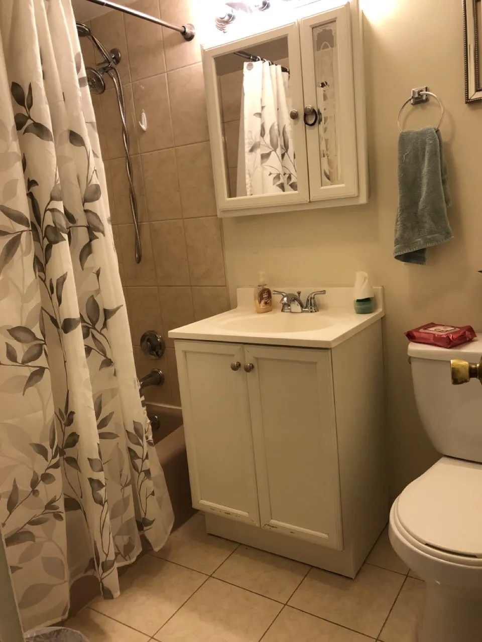 15 Walbridge St, Brighton