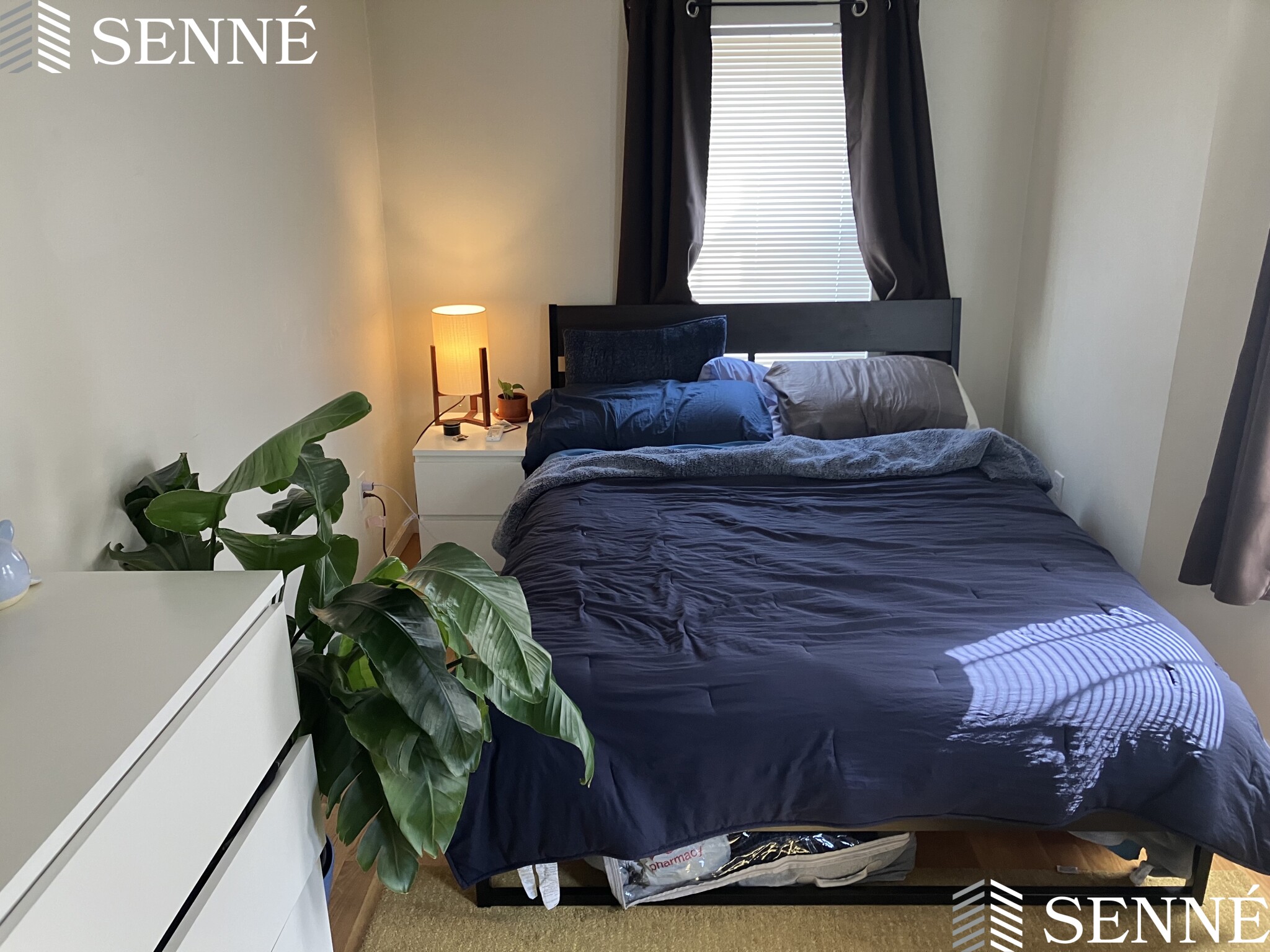 12 Winter St, Davis Square