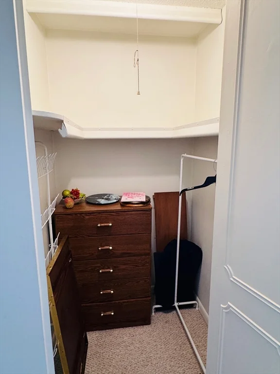 137 Lake Shore Rd, Brighton