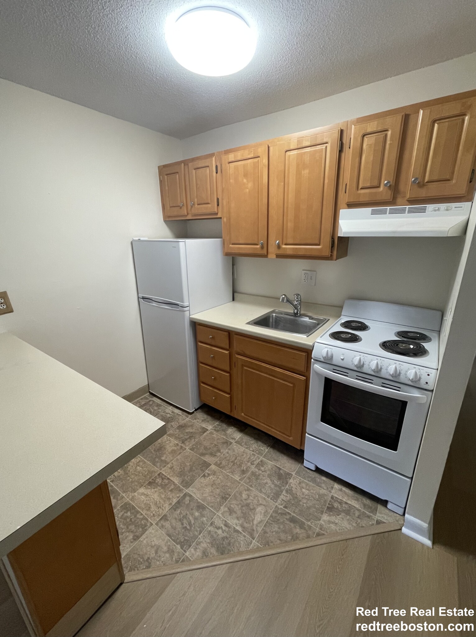 66 Homer Ave, West Cambridge