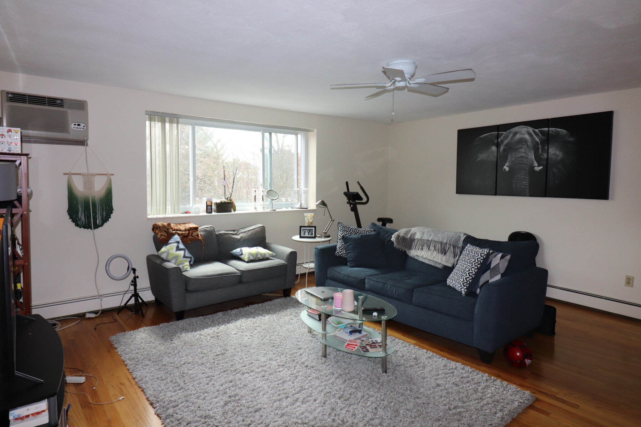 81 Green St, North Brookline