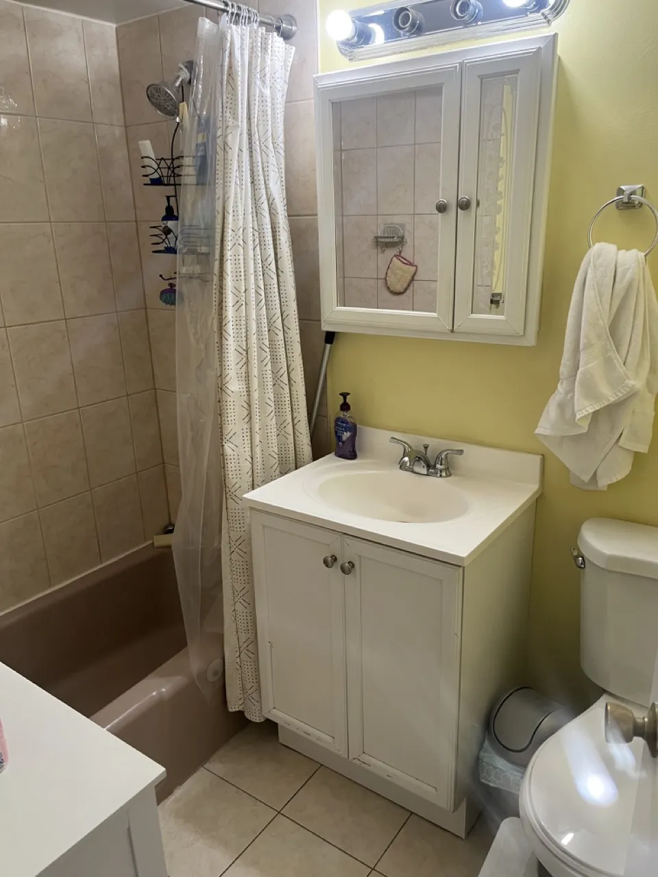 15 Walbridge St, Brighton